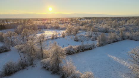Aerial-view-out-over-beautiful-big-fields-with-lots-of-trees-in-a-snowy-landscape-on-a-sunny-day-in-Karlskrona,-south-of-Sweden-2