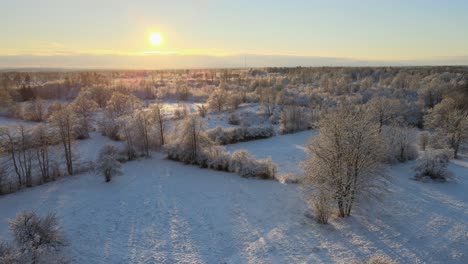 Aerial-view-out-over-beautiful-big-fields-with-lots-of-trees-in-a-snowy-landscape-on-a-sunny-day-in-Karlskrona,-south-of-Sweden