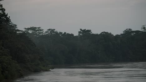 River-Surrounded-With-Lush-Vegetation,-Amazon-Rainforest-In-Ecuador---static