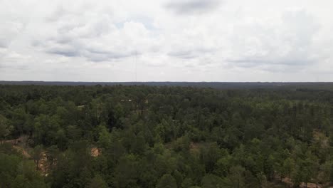 Aerial-Shot-of-a-Forest-in-the-Country-1