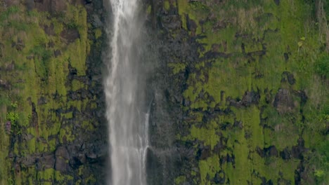 Hoher-Wasserfall,-Der-Auf-Moosiger-Felsenklippe-Im-Hawaii-Akaka-State-Park-Kaskadiert