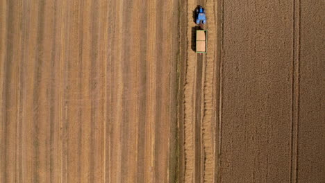 A-tractor-harvesting-crops-drives-through-farm-rows