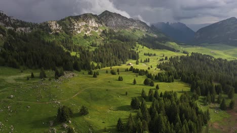 Perfect-light-shinning-over-a-meadow-in-the-french-alps