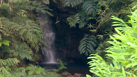 Waterfall-Cascading-From-Stream-Embedded-In-Dense-Tropical-Rainforest