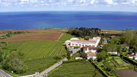 Road-along-coastal-Chá-Gorreana-tea-plantation-factory,-Azores,-aerial