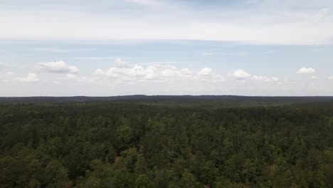 Aerial-Shot-of-a-Forest-in-the-Country