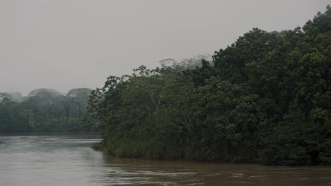 Exuberante-Vegetación-Que-Rodea-La-Laguna-En-La-Selva-Amazónica,-Ecuador---Panorámica