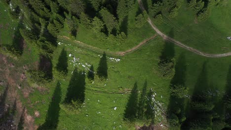 Cinematic-aerial-view-of-a-meadow-in-the-french-alps