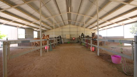 4K-Tour-Of-Horse-Stable-With-Brown-Horses-In-Corrals-On-Country-Ranch-In-Australia