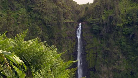 Tall-Waterfall-Cascading-In-Hawaii-Akaka-Fall-Reserve-Dense-Rainforest