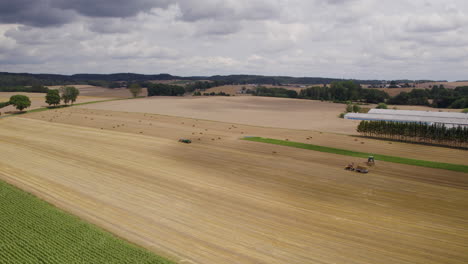 Braune-Stroh--Oder-Getreidefelder,-Bereit-Zur-Ernte