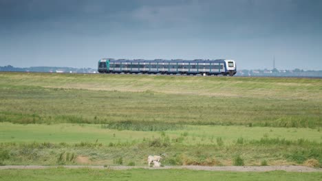 The-Blue-Train-crosses-the-green-farm-fields-en-route-from-the-island-of-Sylt,-Germany