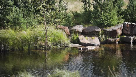 A-shallow-river-with-rocky-banks
