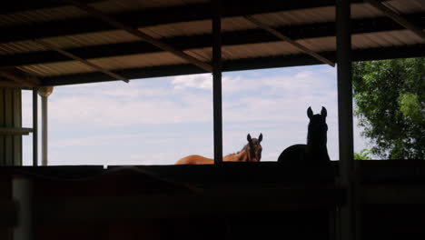 4K-Blick-Vom-Ranch-Pferdestall-Mit-Silhouetten-Durch-Scheunenfenster-In-Australien
