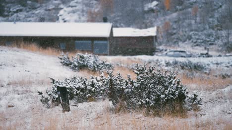 Light-first-snow-falls-on-the-withered-grass,-stones,-evergreen-bushes,-and-roofs-of-the-wooden-cabins