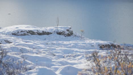Schneebedeckte-Nördliche-Landschaft-Am-Ufer-Des-Kleinen-Sees