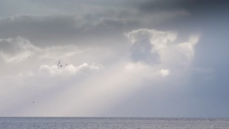 A-small-flow-of-birds-in-the-sky-above-the-sea
