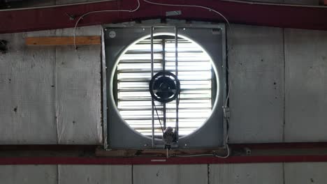 Close-up-industrial-large-fan-spinning-in-warehouse