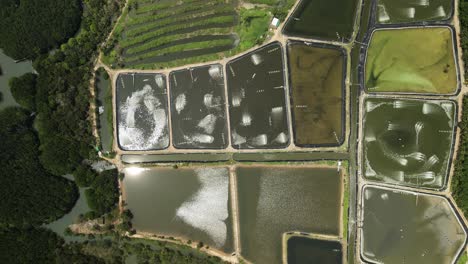 Aerial-side-tracking-shot-of-industrial-shrimp-farm
