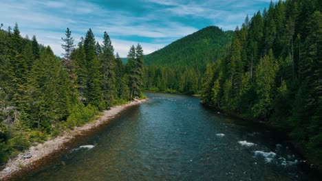 River-Flowing-Through-Fir-Trees-In-Lolo-National