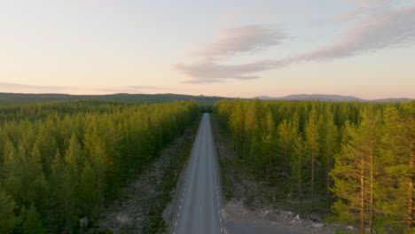 Flying-Over-Empty-Asphalt-Road-By-Spruce-Forest