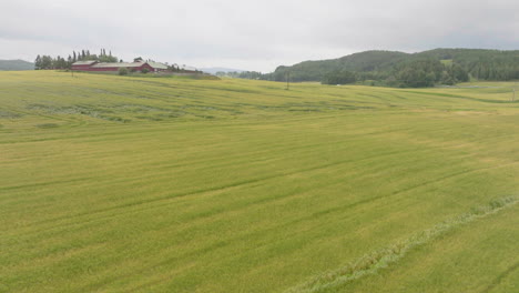 Aerial-Panoramic-View-Of-Evergreen-Wheat-Farmland-Near
