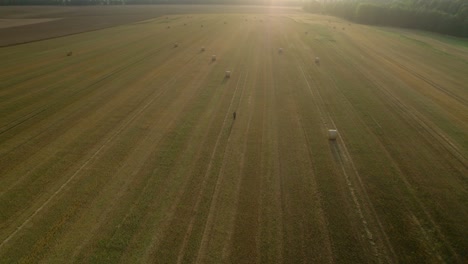 Aerial-drone-shot-over-golden-field-with-man