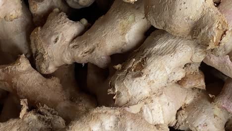 closeup-of-a-fresh-pile-of-ginger-root