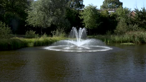 Blick-Auf-Den-öffentlichen-Brunnen-Im-Teich,-Umgeben-Von