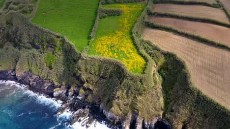 Waves-crashing-on-cliffs-with-fields-divided-by