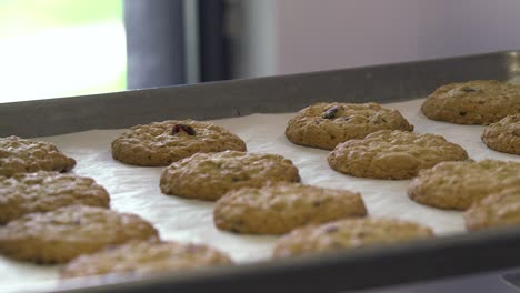 Rows-of-fresh-cookies-on-a-baking-tray