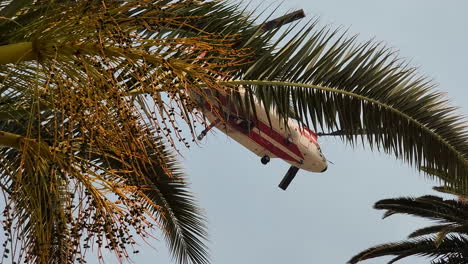 Helicóptero-Sobrevolando-Para-Combatir-Incendios-Forestales-En-California