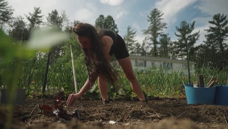 Sliding-shot-of-woman-planting-seeds-in-garden