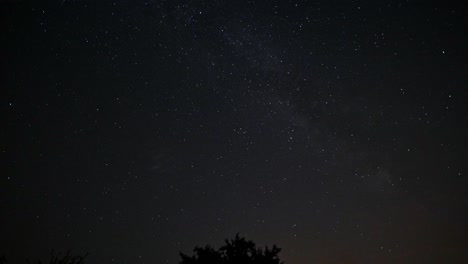 Timelapse-De-La-Noche-Estrellada-Con-árboles-Y-Nubes