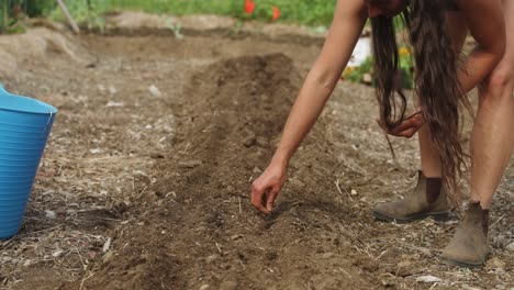 Female-farmer-planting-rows-of-vegetable-seeds-at