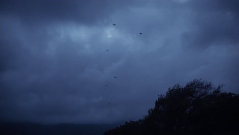 Pájaros-Volando-A-Través-De-Un-Cielo-Nublado-Oscuro