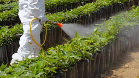 Footage-of-the-process-of-application-of-agrochemicals