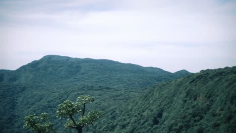 Mirador-De-Una-Selva-Tropical-En-Costa-Rica