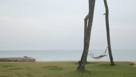 beach-hammock-hanged-on-the-coconut-palm-tree