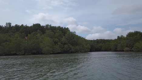 Schwenkblick-über-Wasser-Mit-Blick-Auf-Mangroven