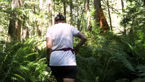 Mujer-Excursionista-Camina-A-Través-De-Exuberantes-Y-Densos-Helechos-Forestales
