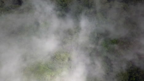 Aerial-slowly-descends-through-cloud-to-lush-green