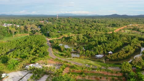 Camino-Ventoso-A-Través-De-Un-Bosque-Tropical-En-Belitung