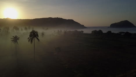 Dramatic-sunrise-fog-shadows-silhouette-palm-trees-on
