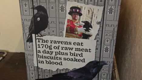 Tower-of-London-Informational-sign-plate-about-raven