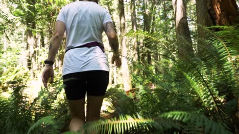 Woman-hiker-walks-through-lush-dense-forest-ferns