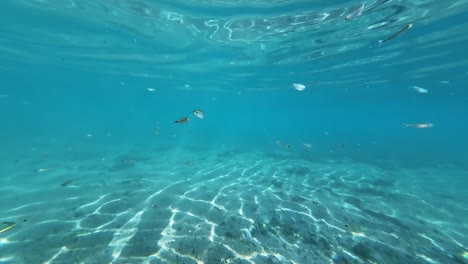 Eine-Wunderschöne-Unterwasserszene-Aus-Kristallklarem-Türkis
