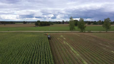 Ländlicher-Lebensstil-Maisfelder-Für-Biomasse-Silage-Passanten-Ernten
