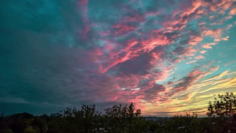 majestic-colourful-time-lapse-of-treetop-skyline-sunset