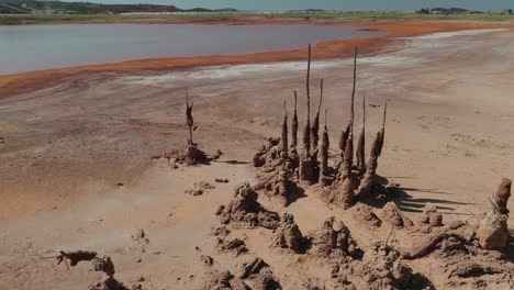 Dead-trees-in-the-Riotinto-Mines-taken-during